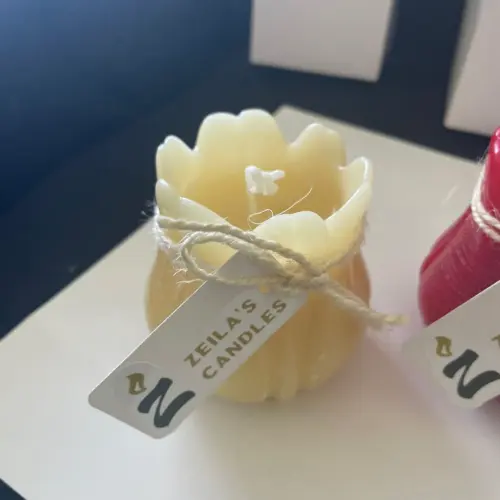 tulipán grande's photo #3