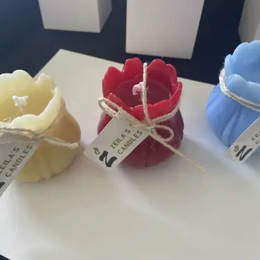 tulipán grande's photo #1