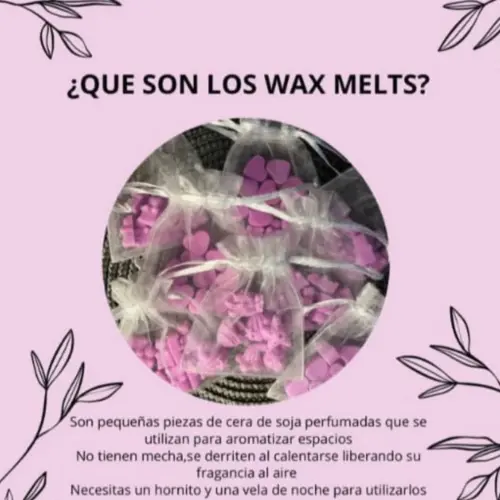 Bolsitas de 10 waxmelts's photo #1