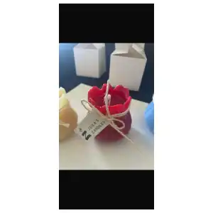 tulipán grande miniatura 3