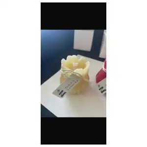 tulipán grande miniatura 4
