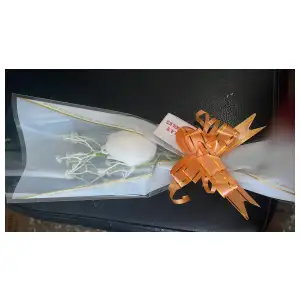 Vela de tulipán con sobre de regalo miniatura 1