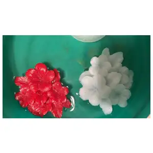 Vela flotante miniatura 1